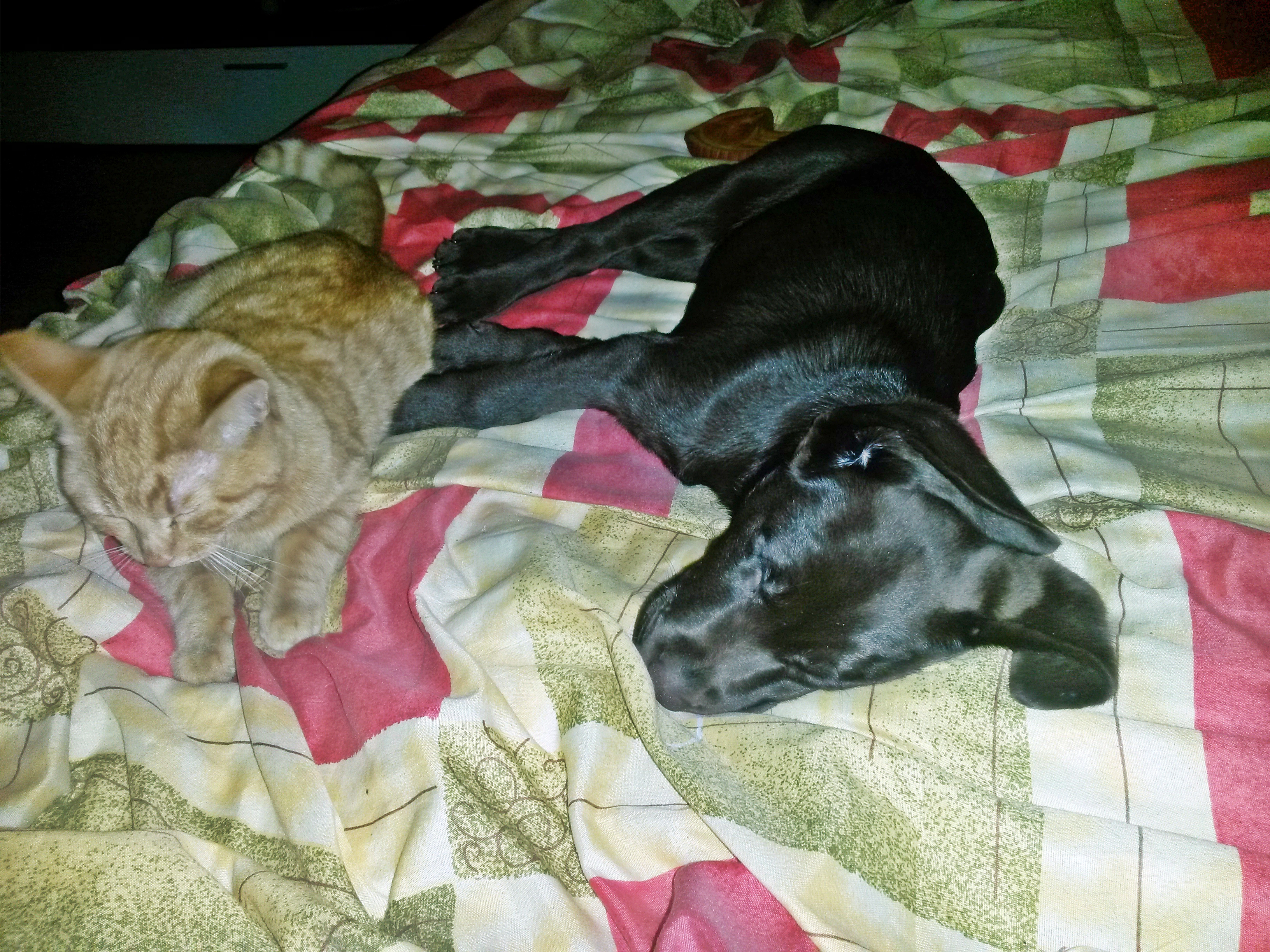 20141230_230250.jpg