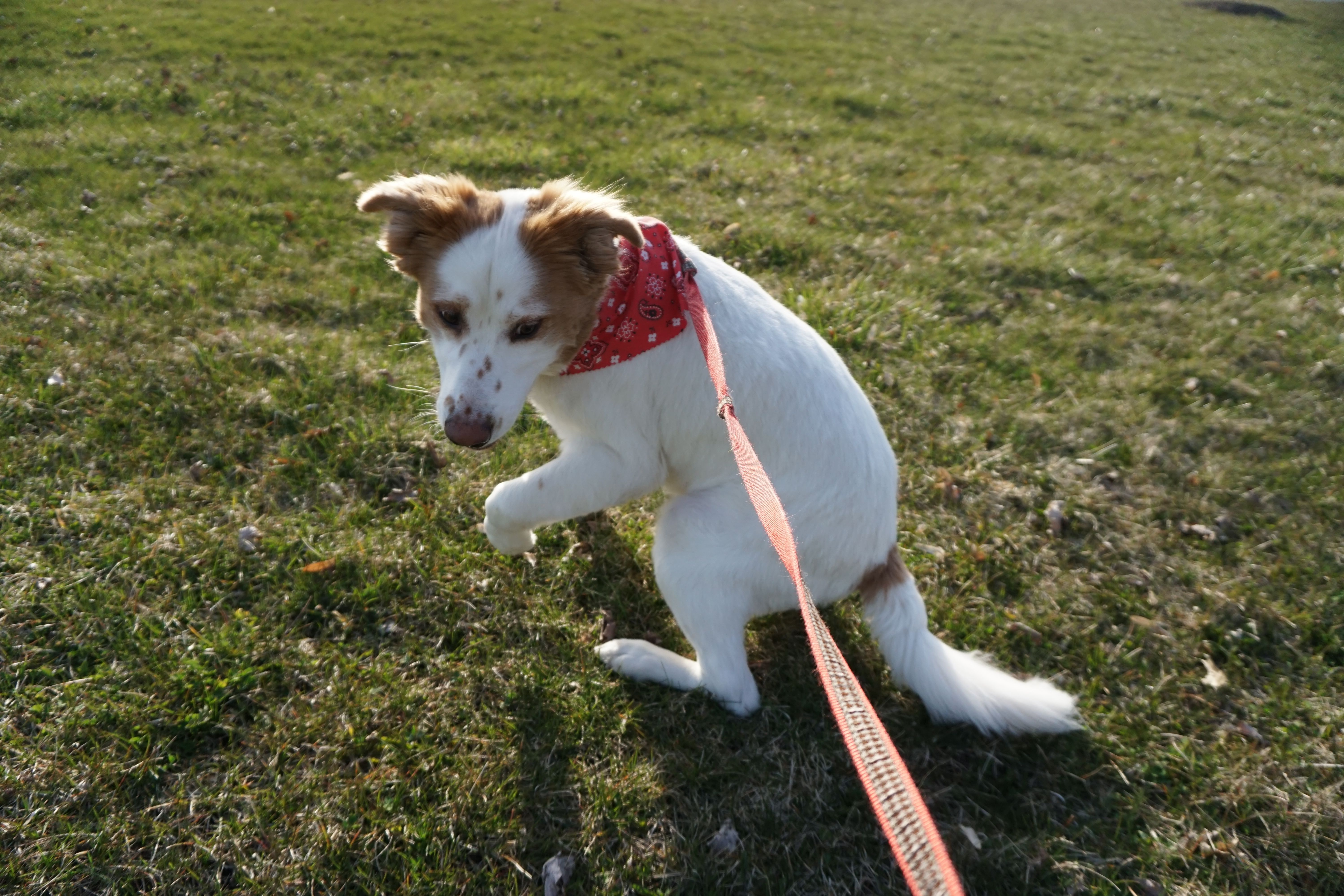 DSC01467.JPG