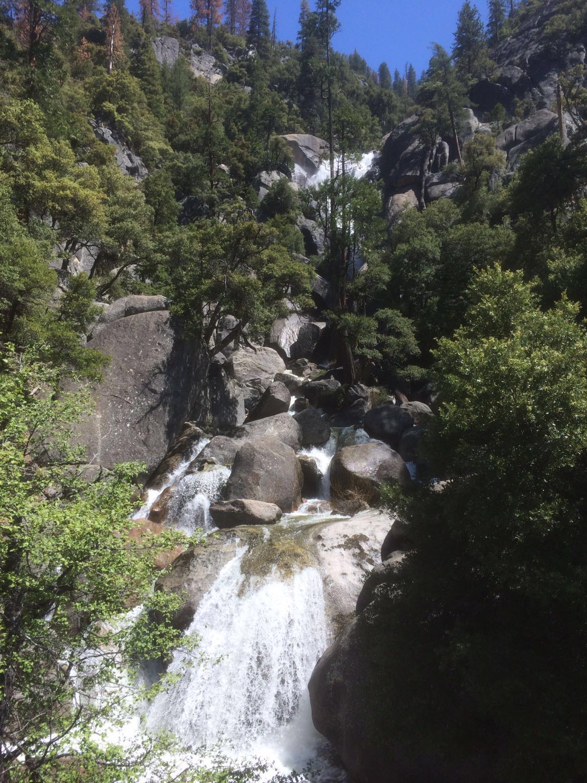 Yosemite NP.jpg