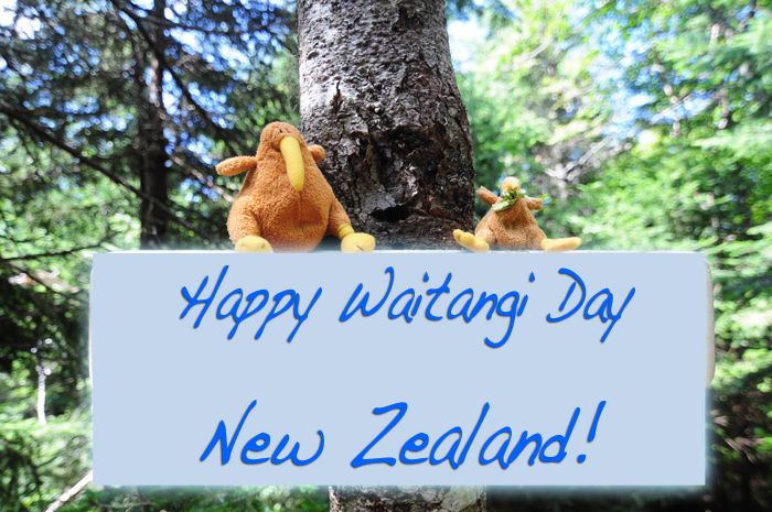 Happy-Waitangi-Day-New-Zealand-Picture.jpg