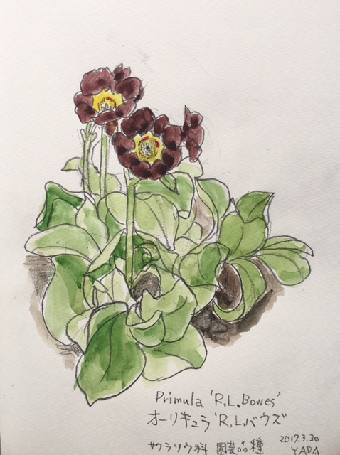 Sketch20170330c.jpg