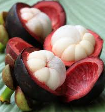 buah manggis.PNG