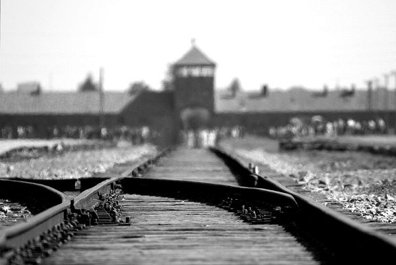 birkenau-402324_960_720.jpg