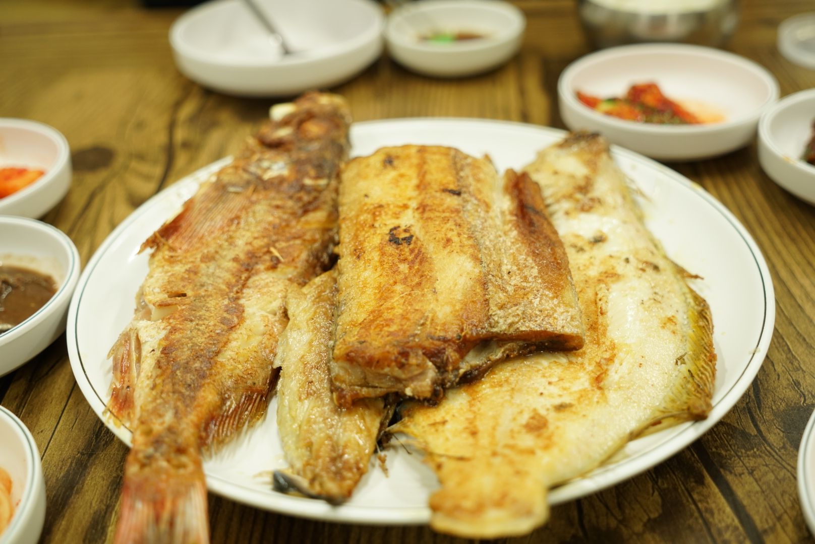 DSC06043.JPG
