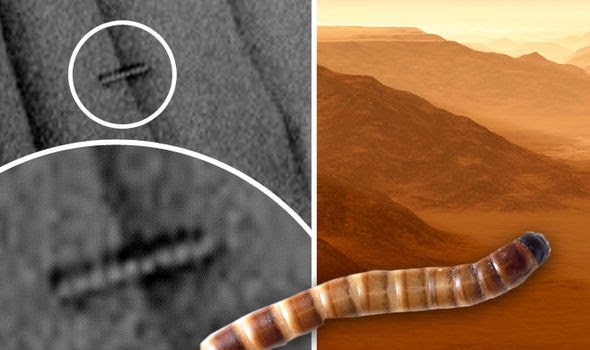 Mars-Worm-642444.jpg