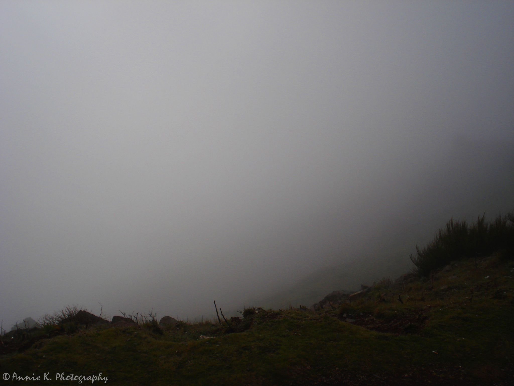 Pico-mountain-fog-2.jpg