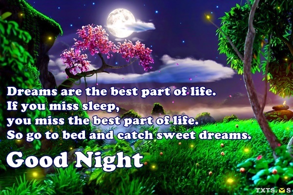 moon-light-and-stars-night-background-with-trees-nature-art-good-night-quote-image.jpg