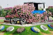 dubai miracle garden.jpg