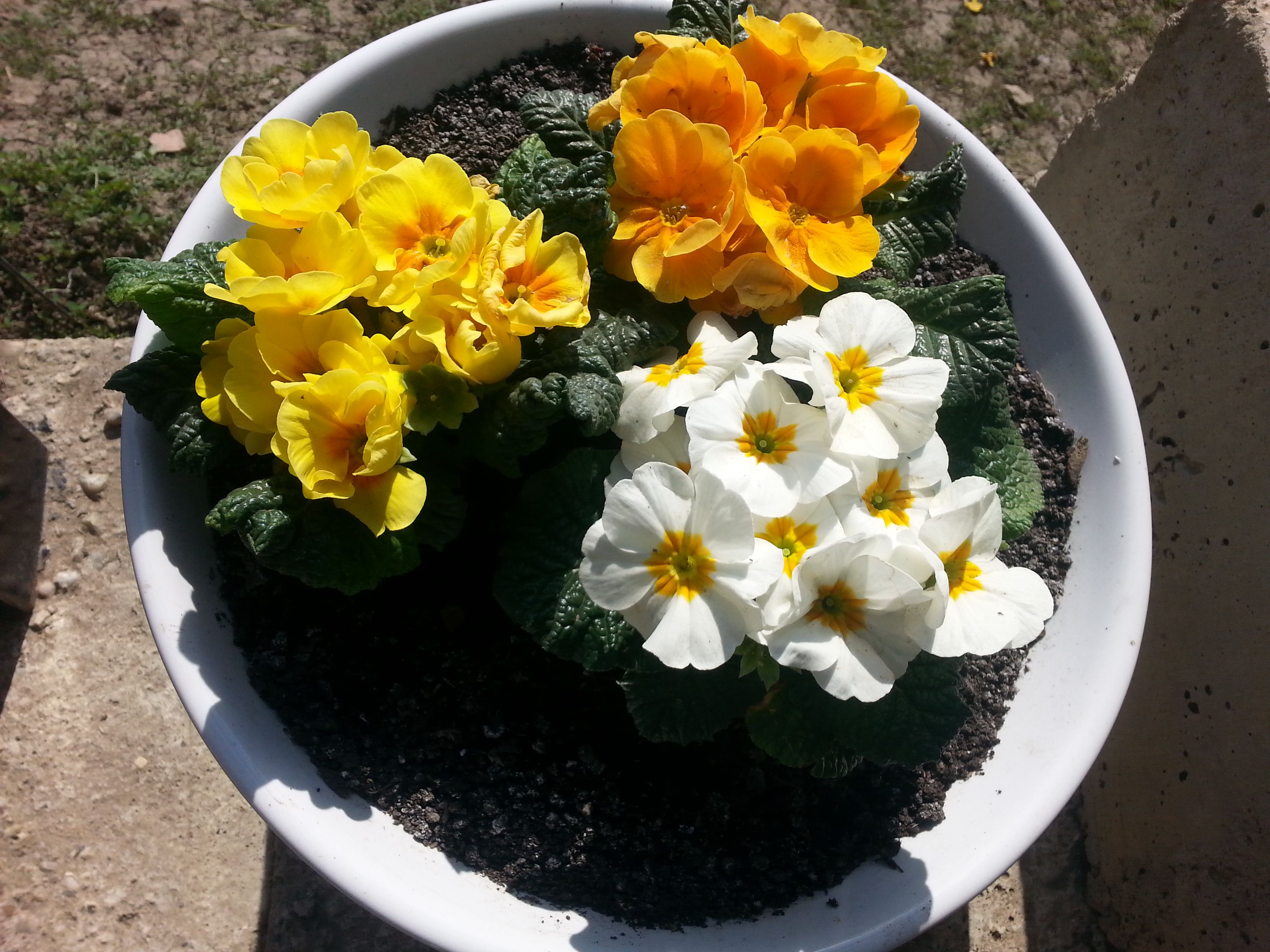 20180412_105026.jpg