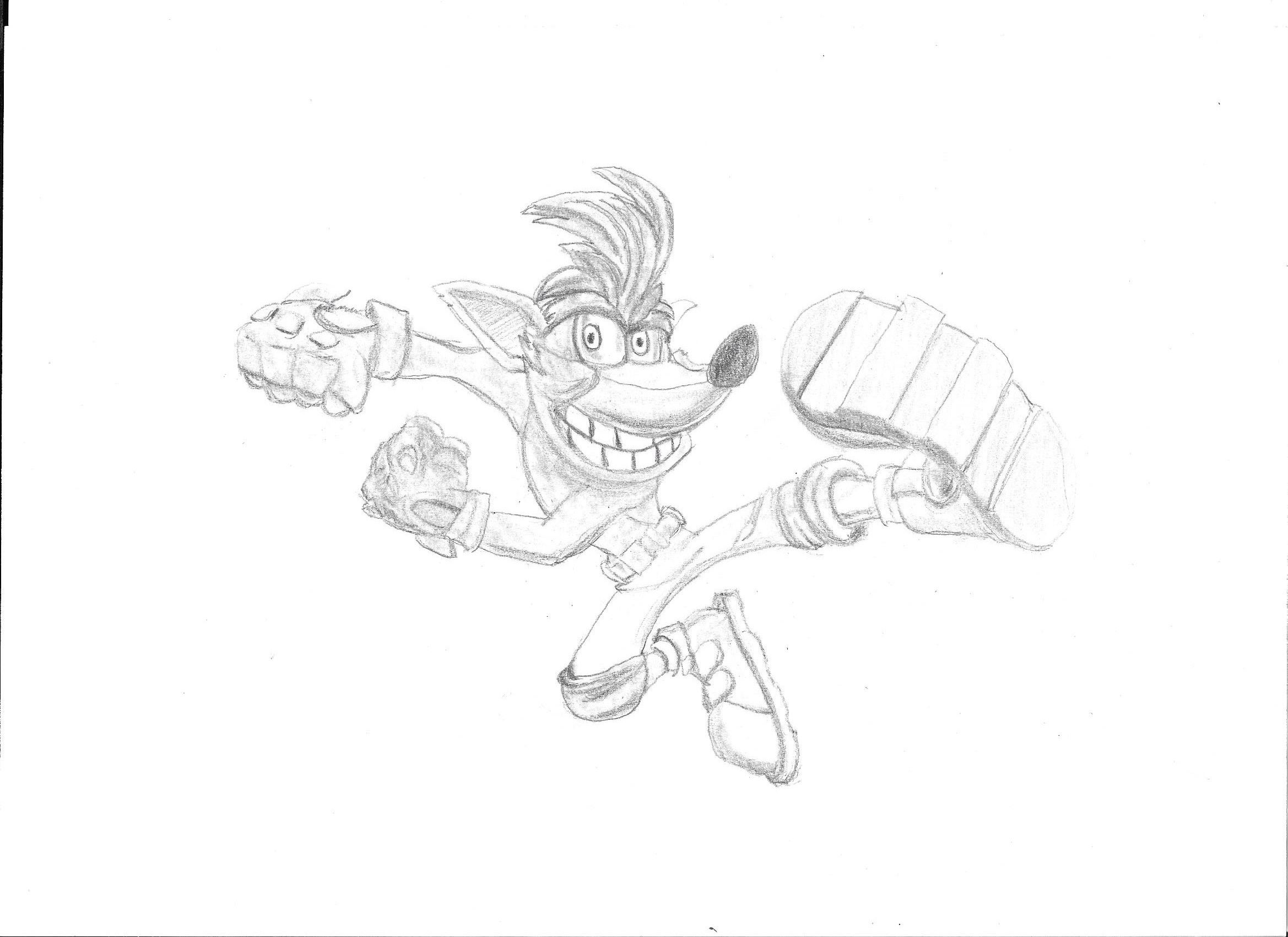 bandicoot3.jpg