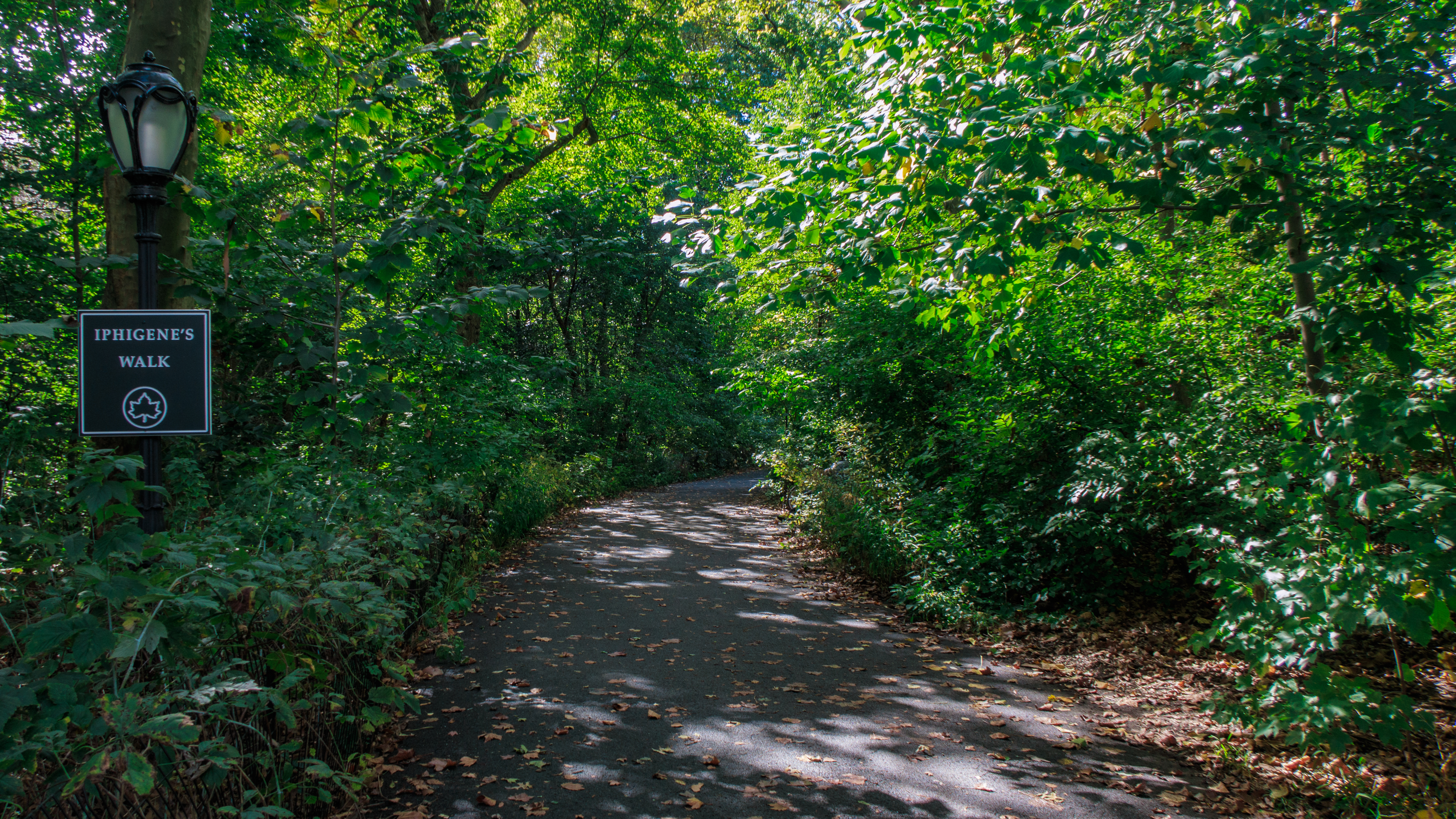 Central Park New York_2.jpg