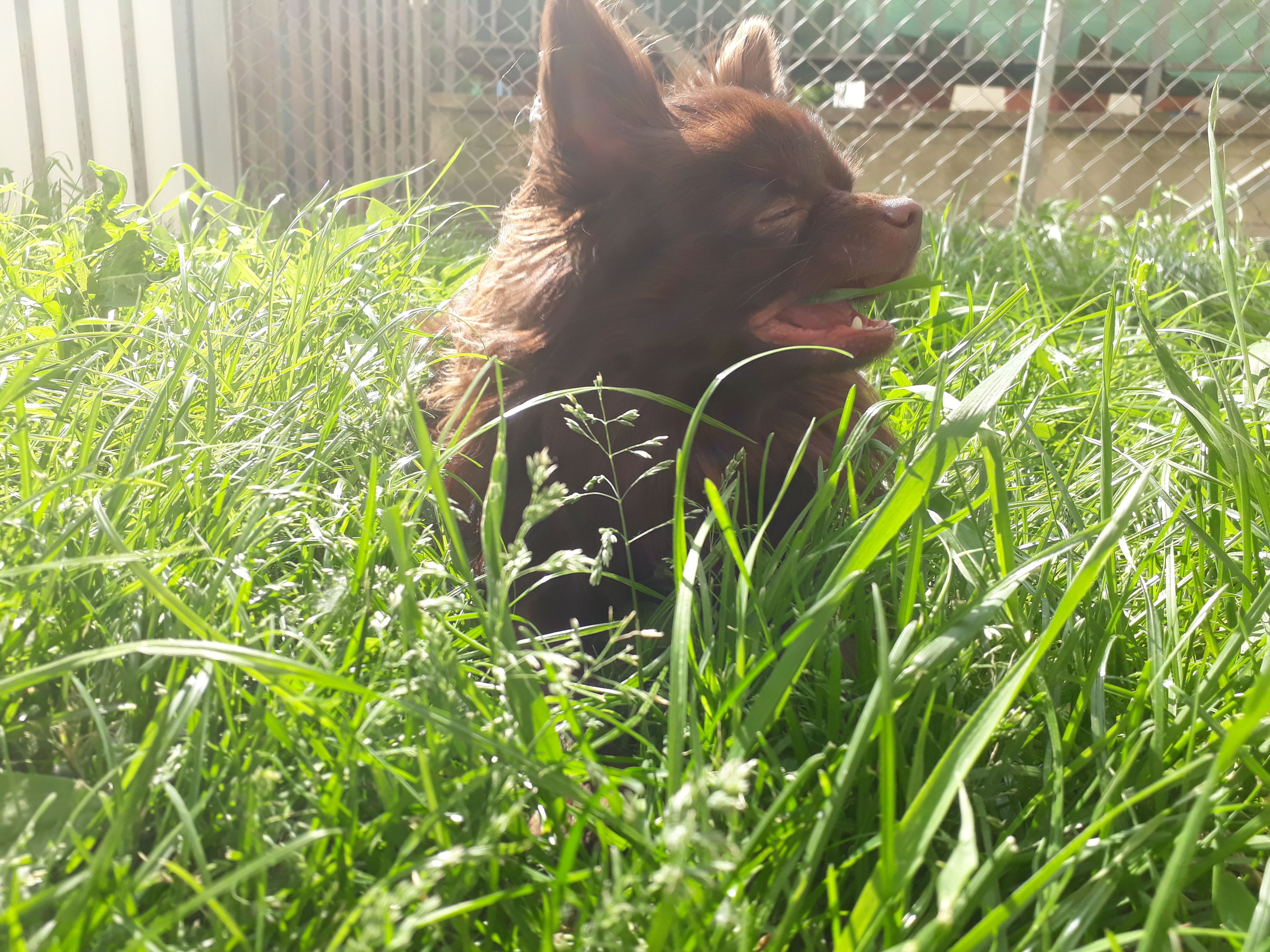 2017-05-16 16.20.18.jpg