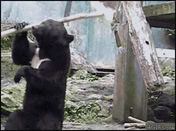 74d7427d09c39264c0027845705ba375.gif