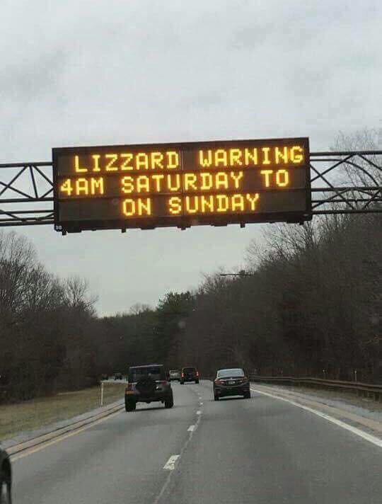 LizzardWarning.jpg