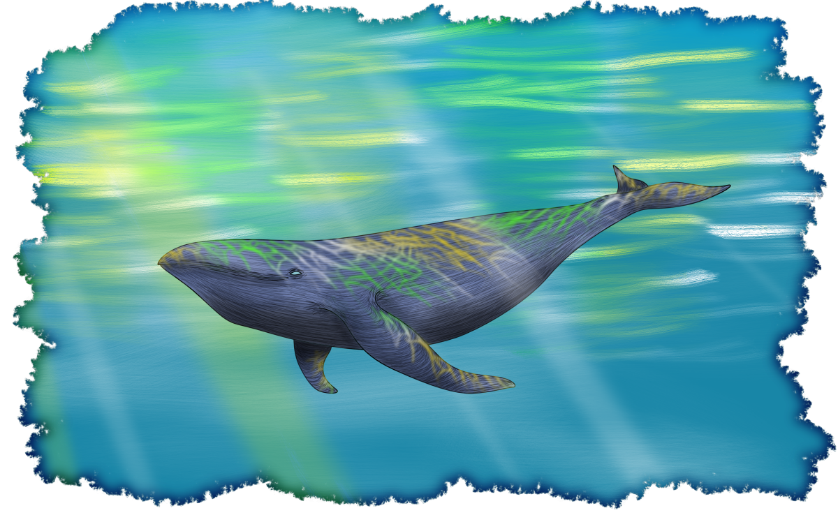 flying whale