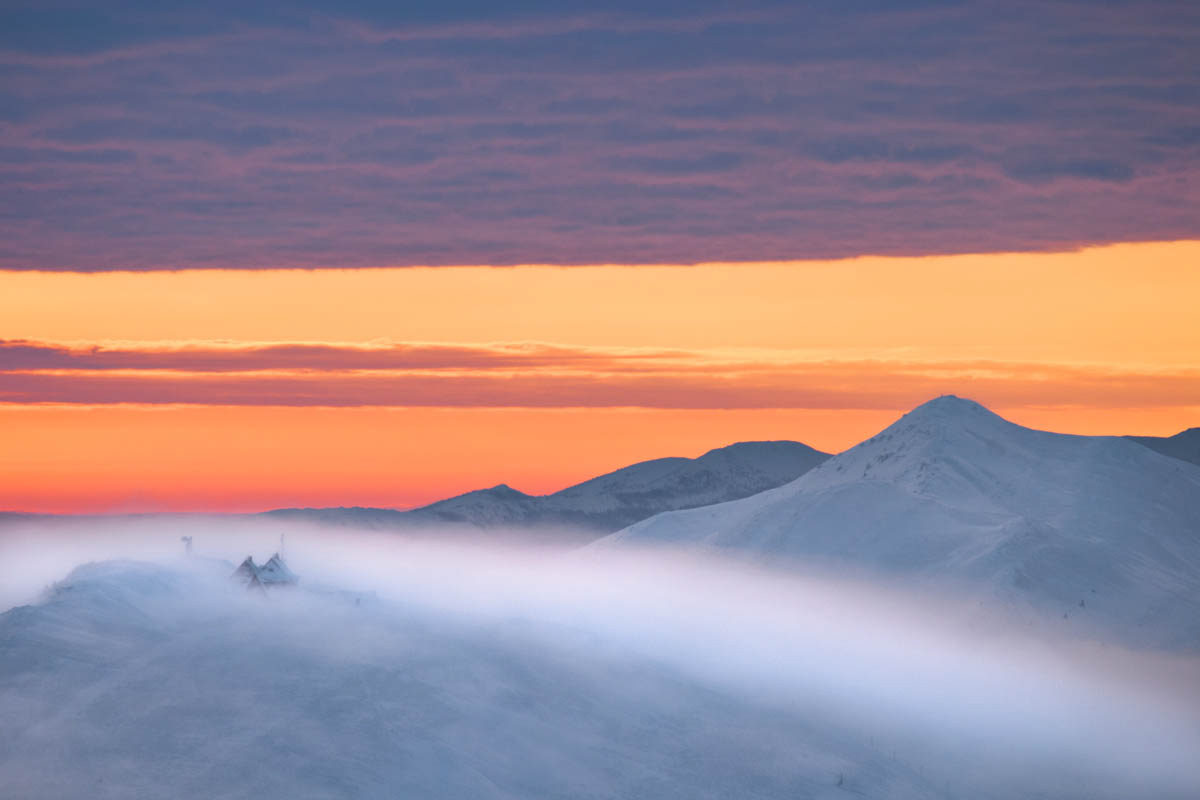 DSC_8172-1200x800 10.jpg