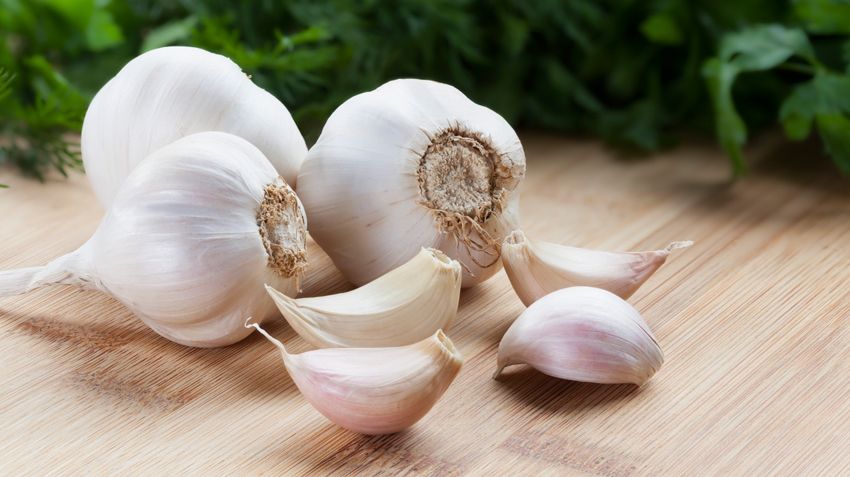 GARLIC.jpg