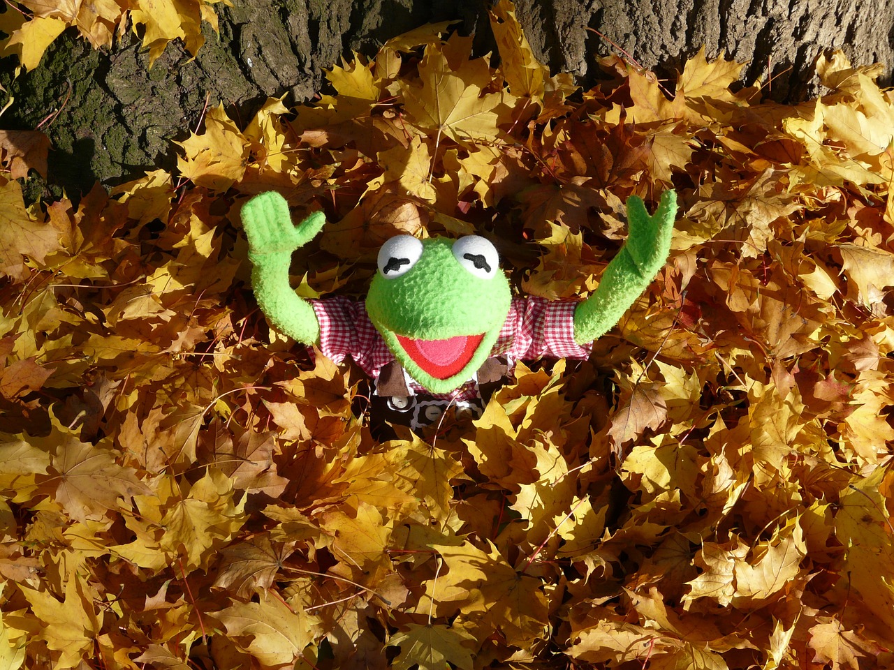 kermit-62817_1280.jpg
