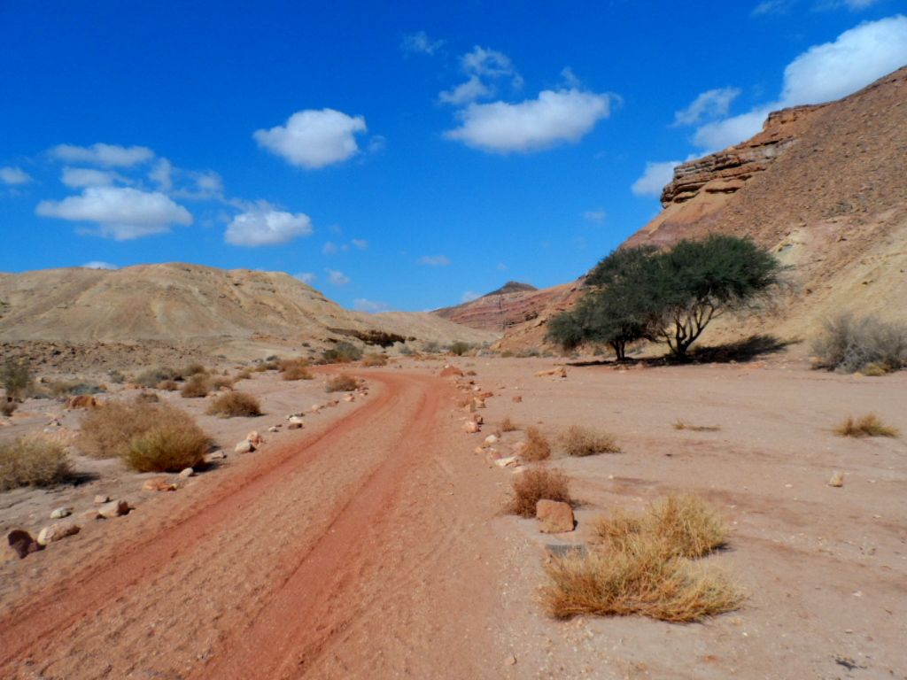 red desert autoadjusted.JPG