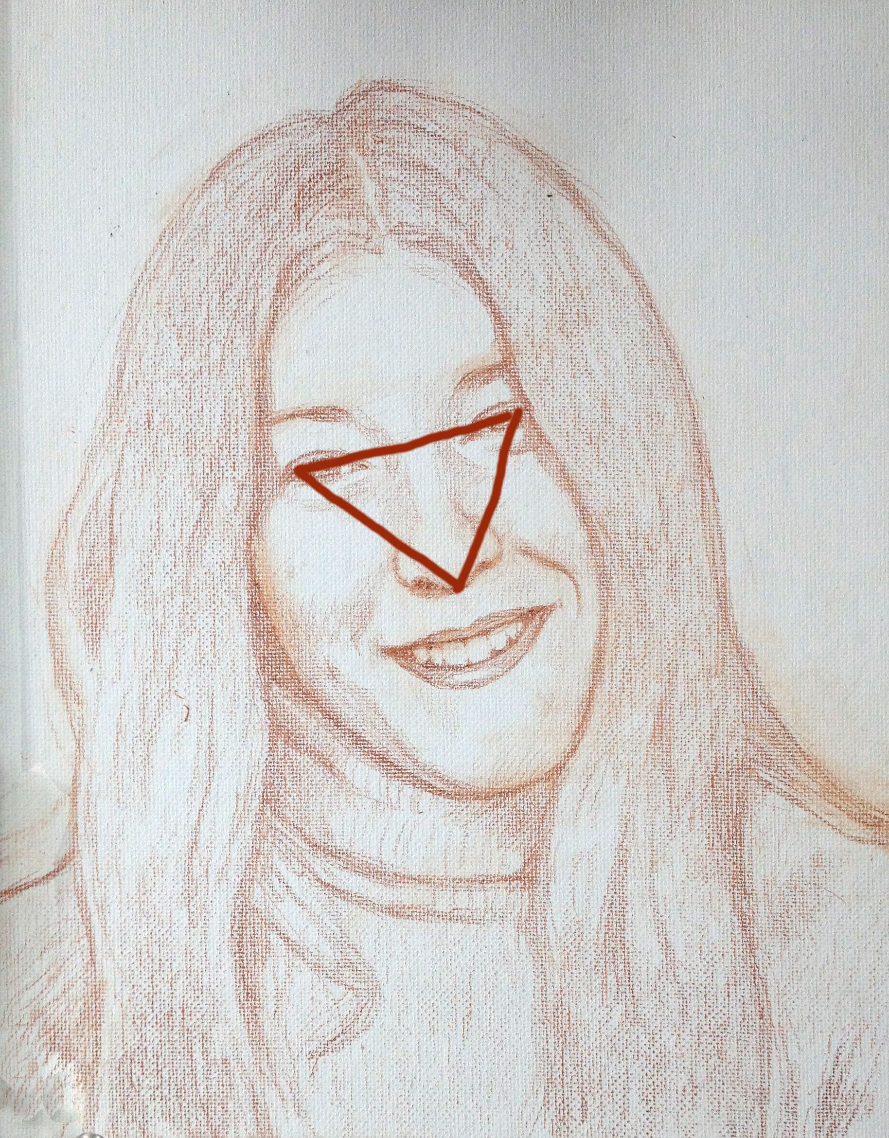 Triangle_nose_illustration.jpg