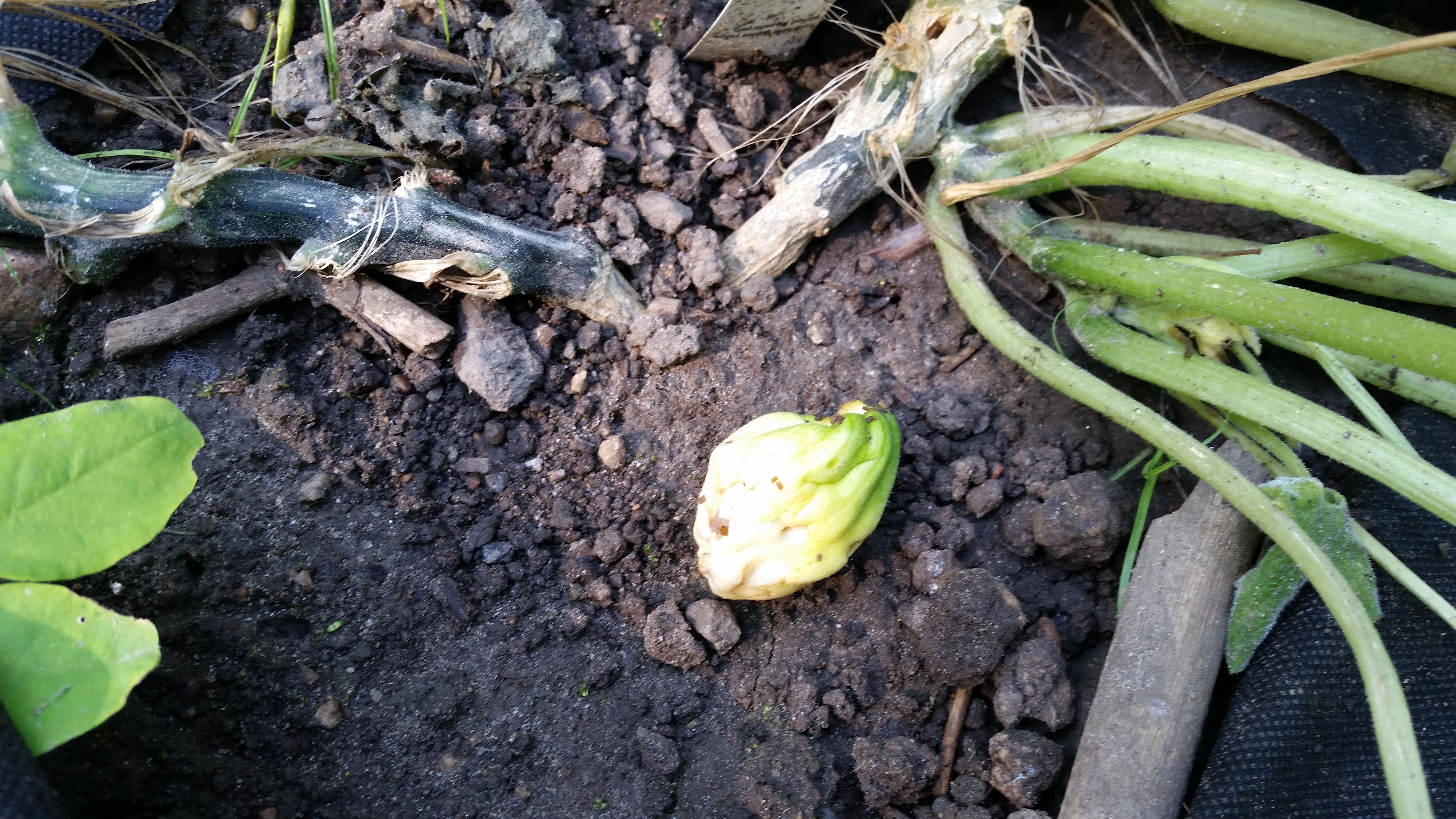20170910_094743.jpg