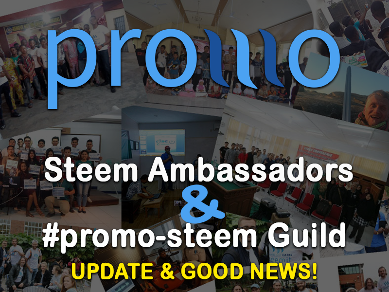 update on steem ambassador and voting guild.png