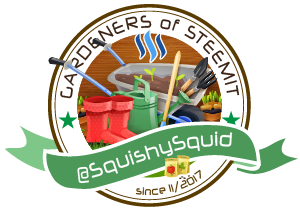 Steemit-Gardener-SquishySquid.png