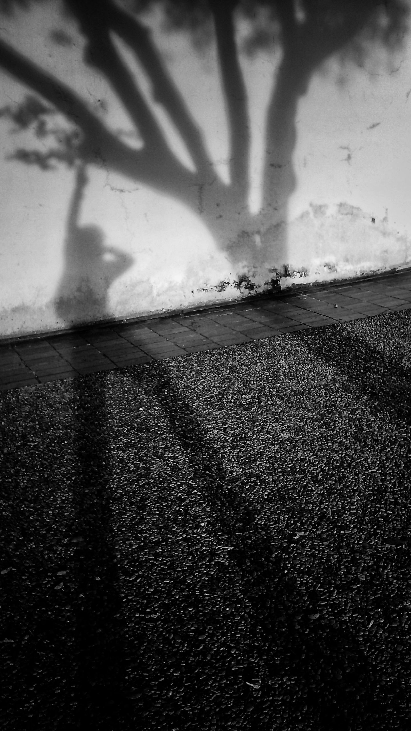 IMG_20170223_072818-01-01.jpeg