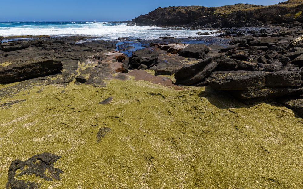 rainbow-beaches-papakolea-green-sand-beach-big-island-hawaii.jpg