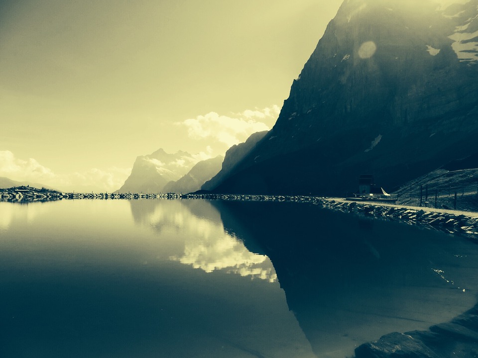 nature-863043_960_720.jpg