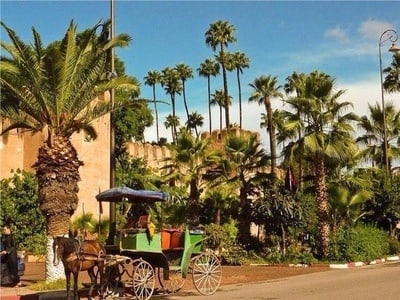 taroudant-and-tiout-private-day-tour-from-agadir-port-HHanr5j8fy.jpg
