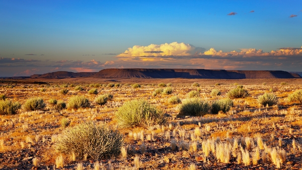 The-sun-sets-over-the-vast-Kalahari-Desert-in-Namibia.jpg