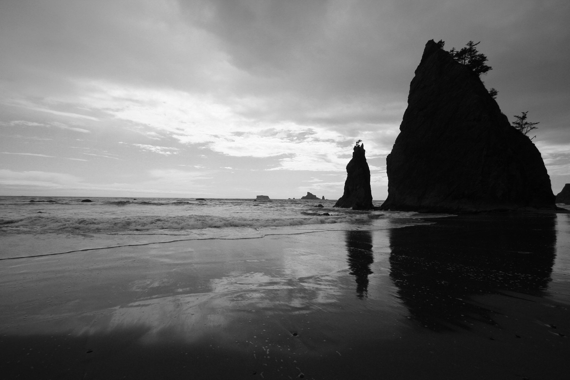 IMG_0892-BW.jpg