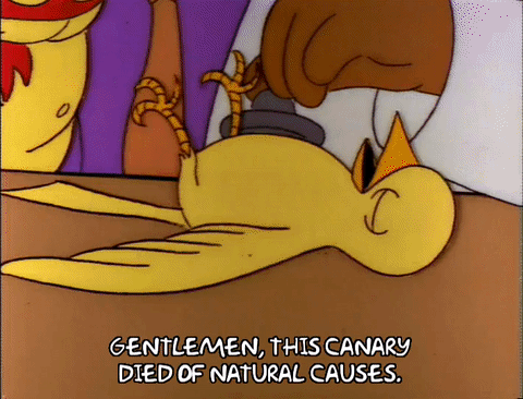 5149682e3303b7cefb056e71953be89fab8502c0.gif