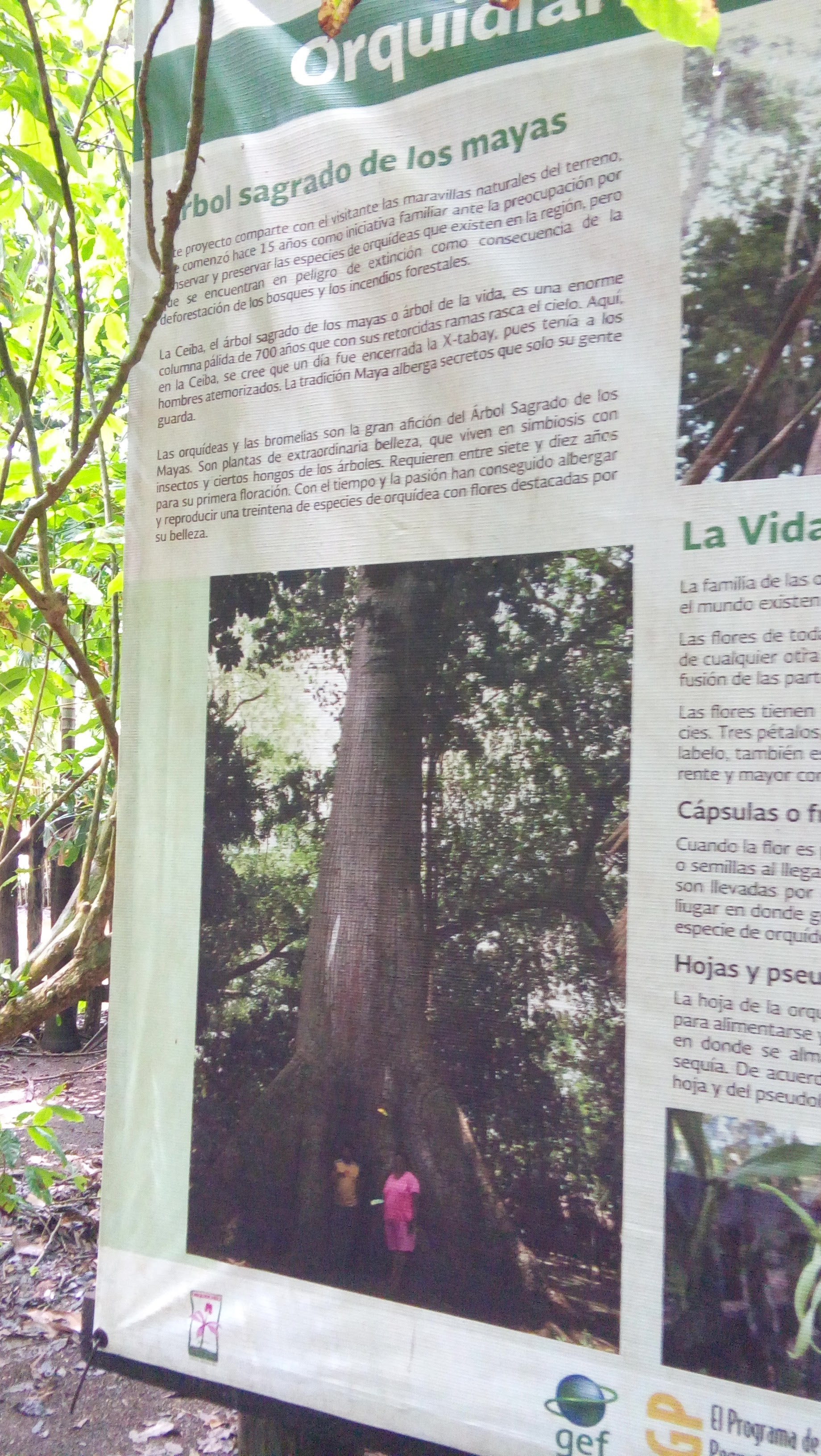 20160727_140151.jpg
