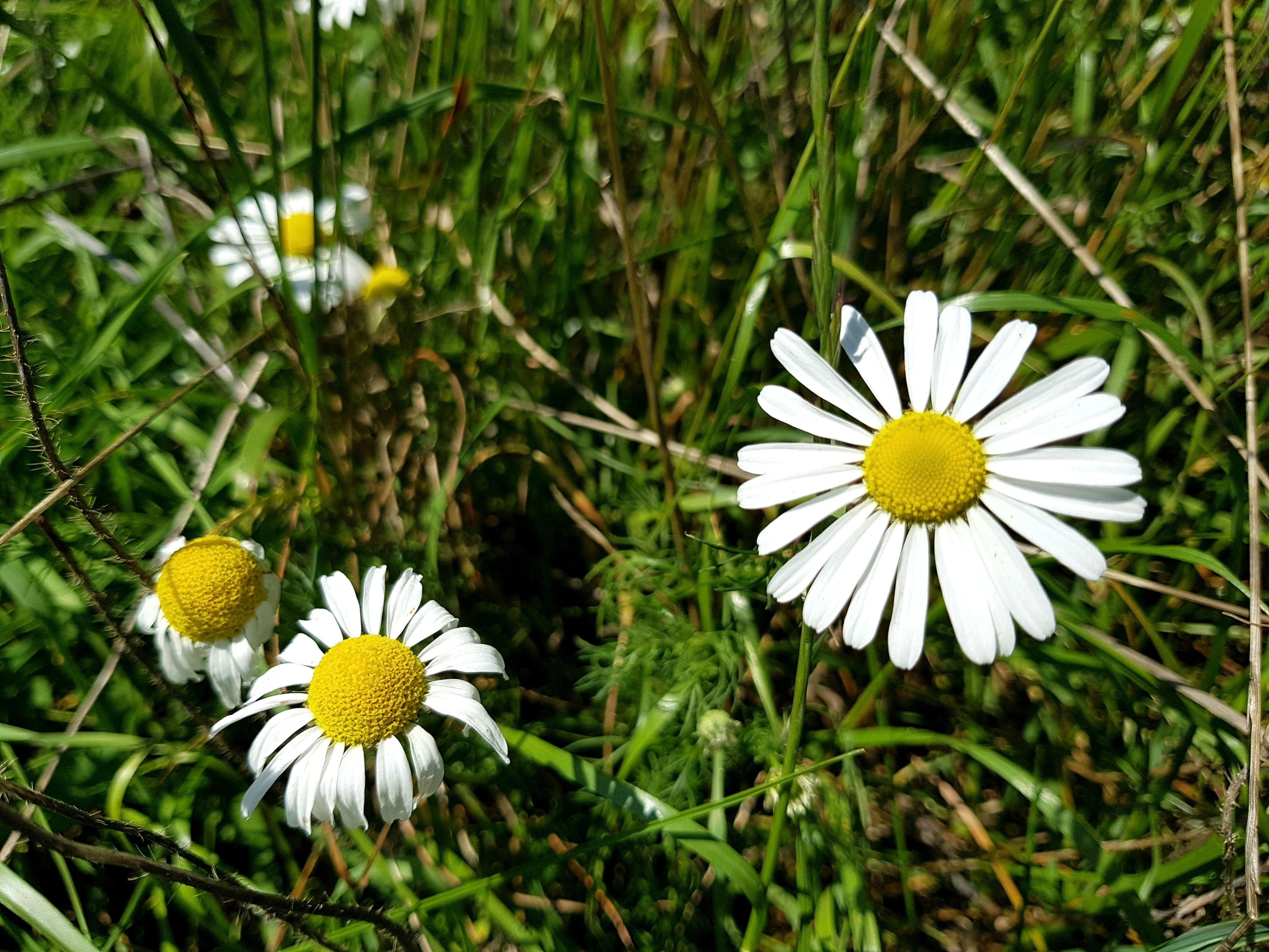 20170903_005538.jpg