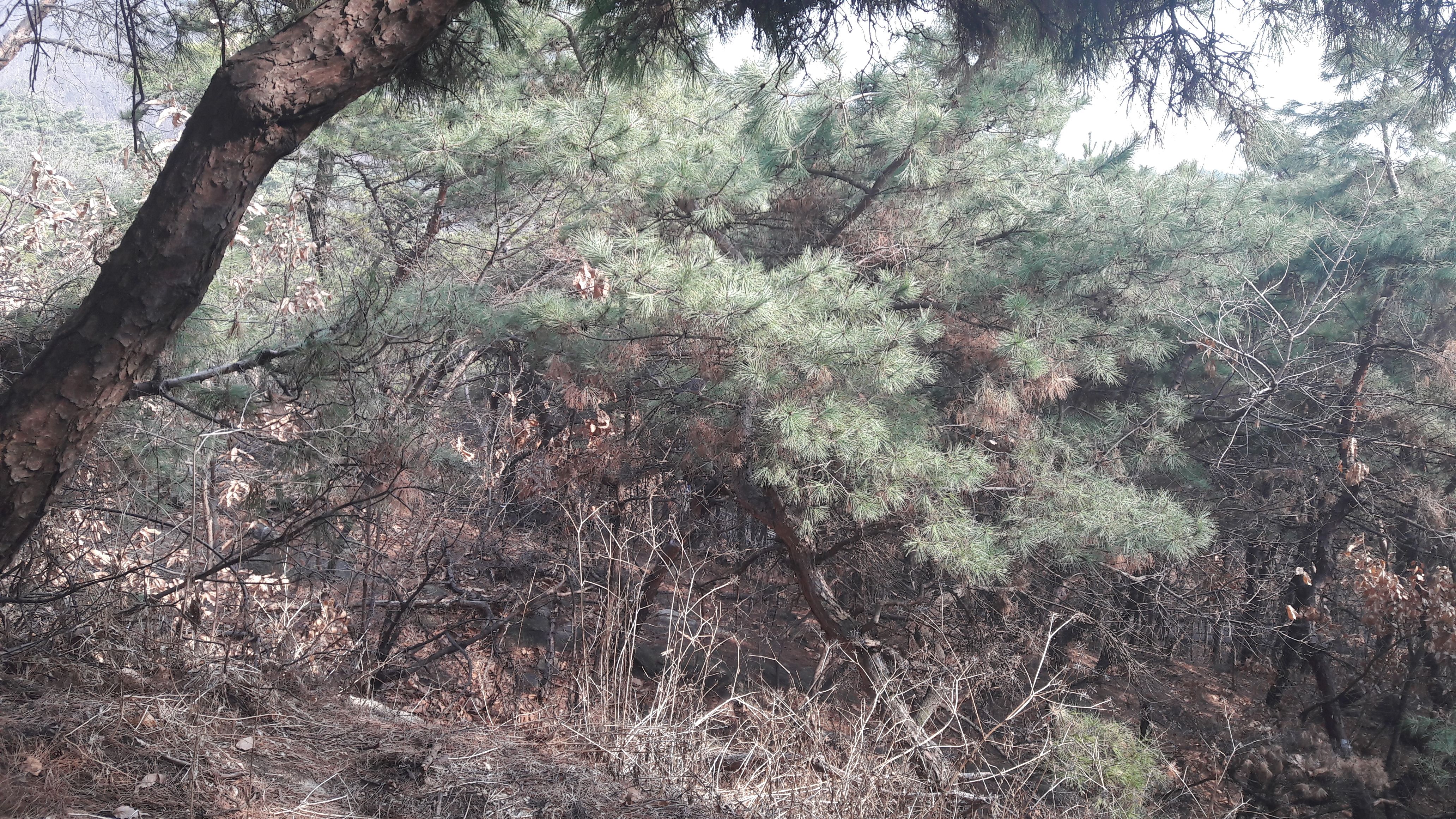 20180324_155740.jpg