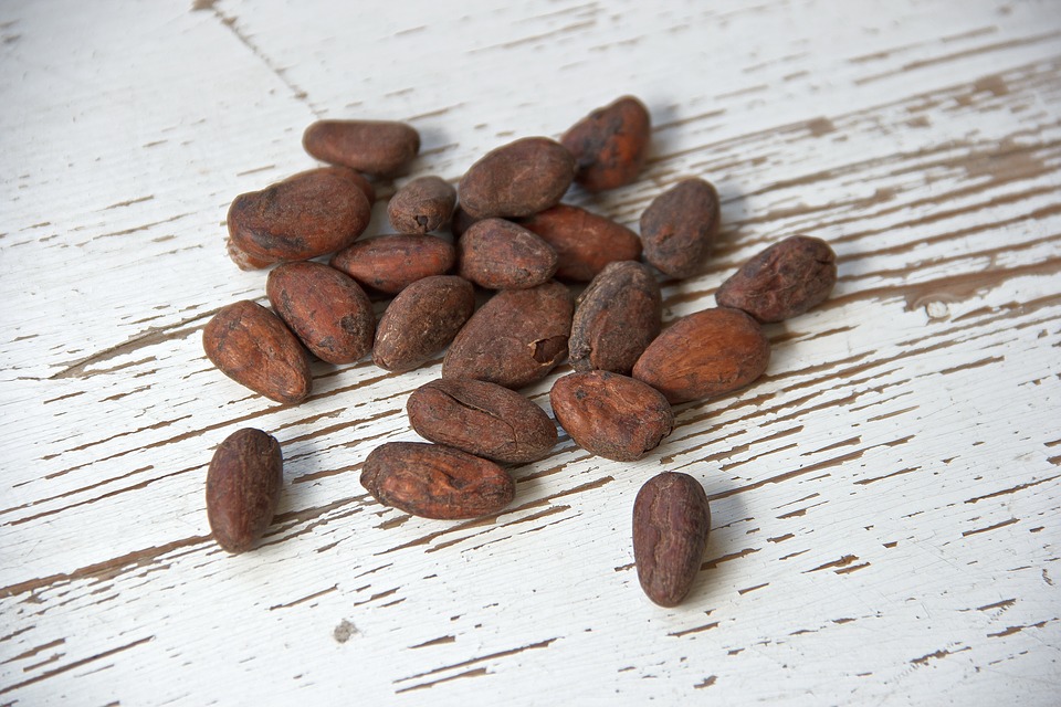 cocoa-bean-1282894_960_720.jpg