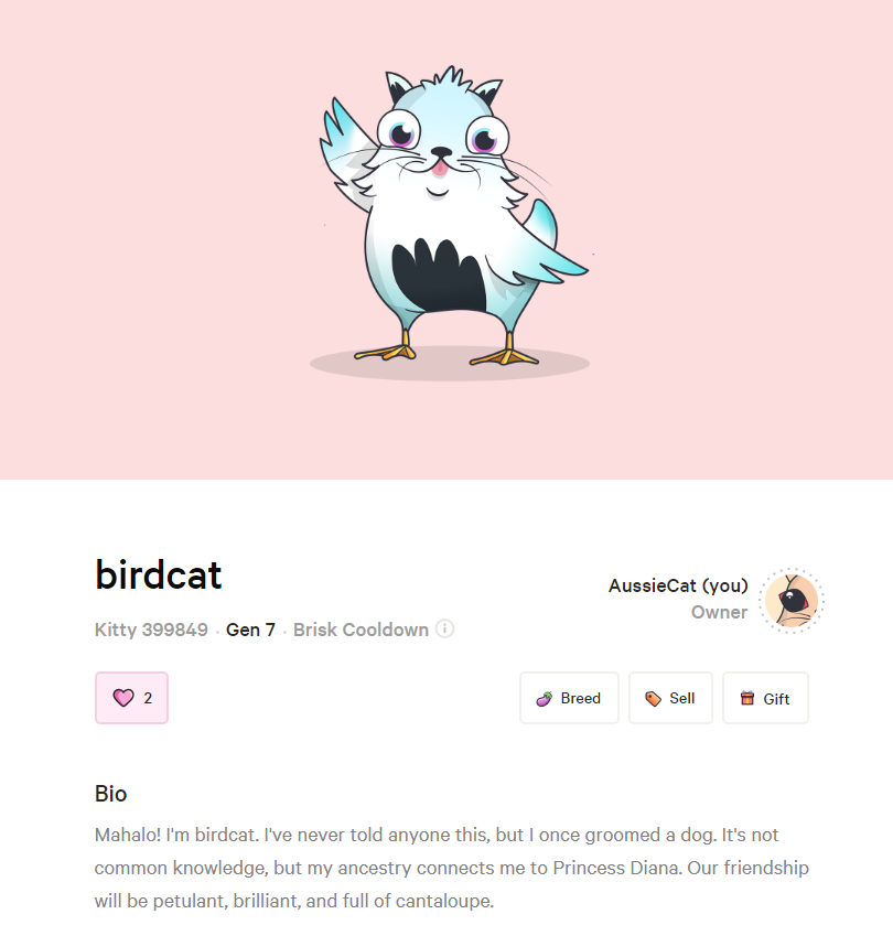 birdcat.png