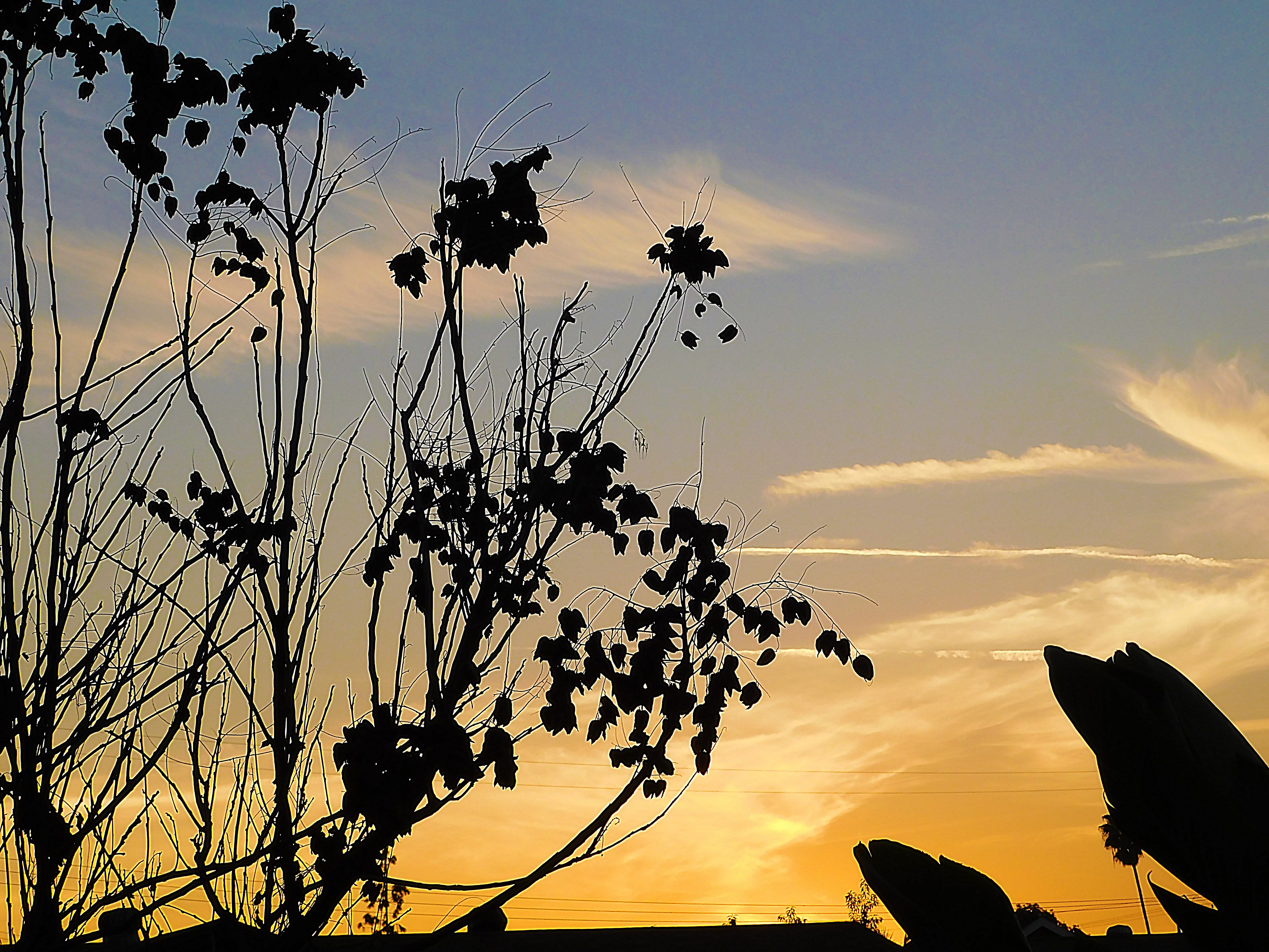 sunset, nature, photography by jeronimo rubio, all rights reserved, 2018 (2).JPG