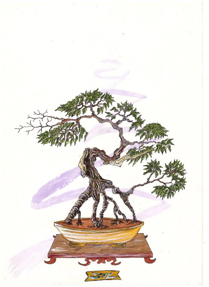 Chinese bonsai.jpg