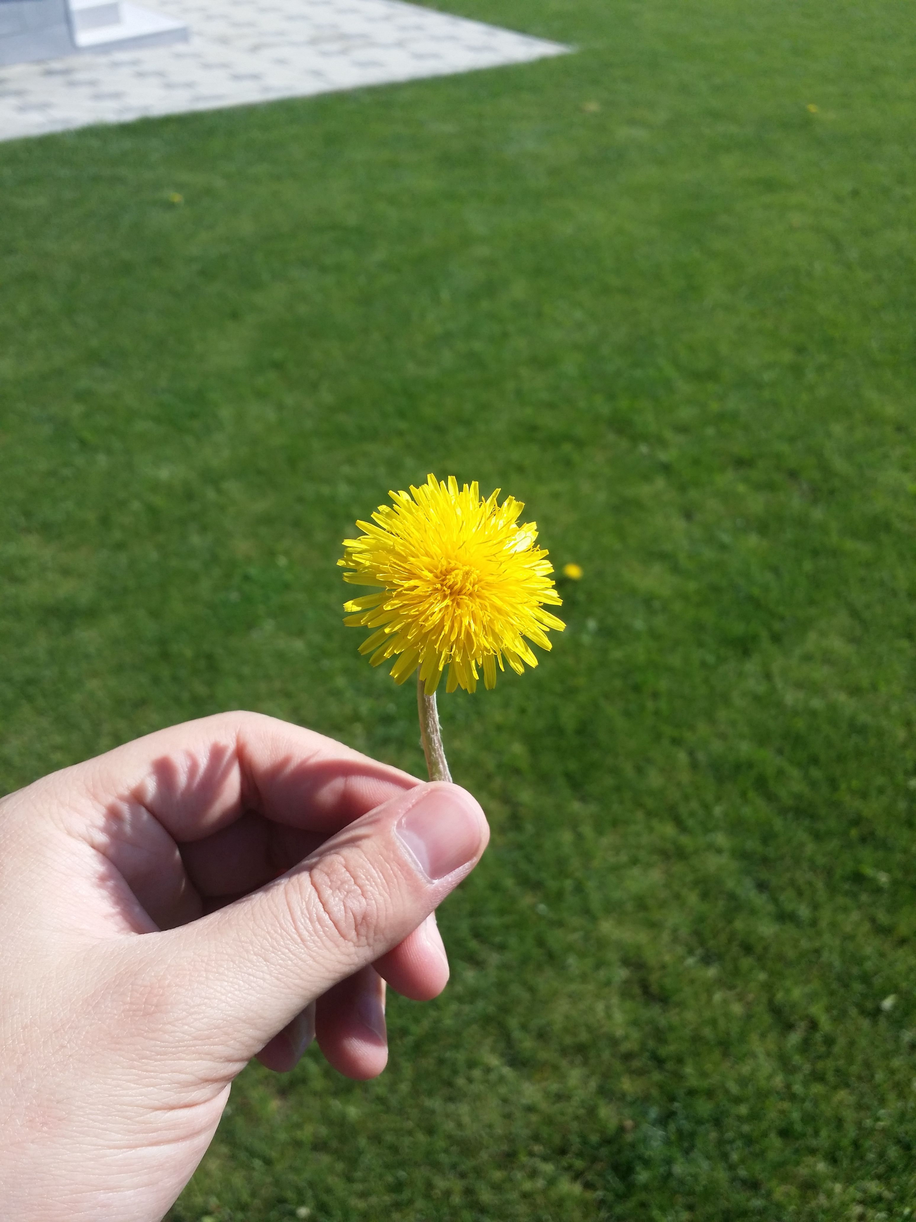 20180422_094313.jpg