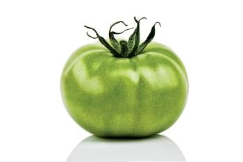 green tomat.jpg