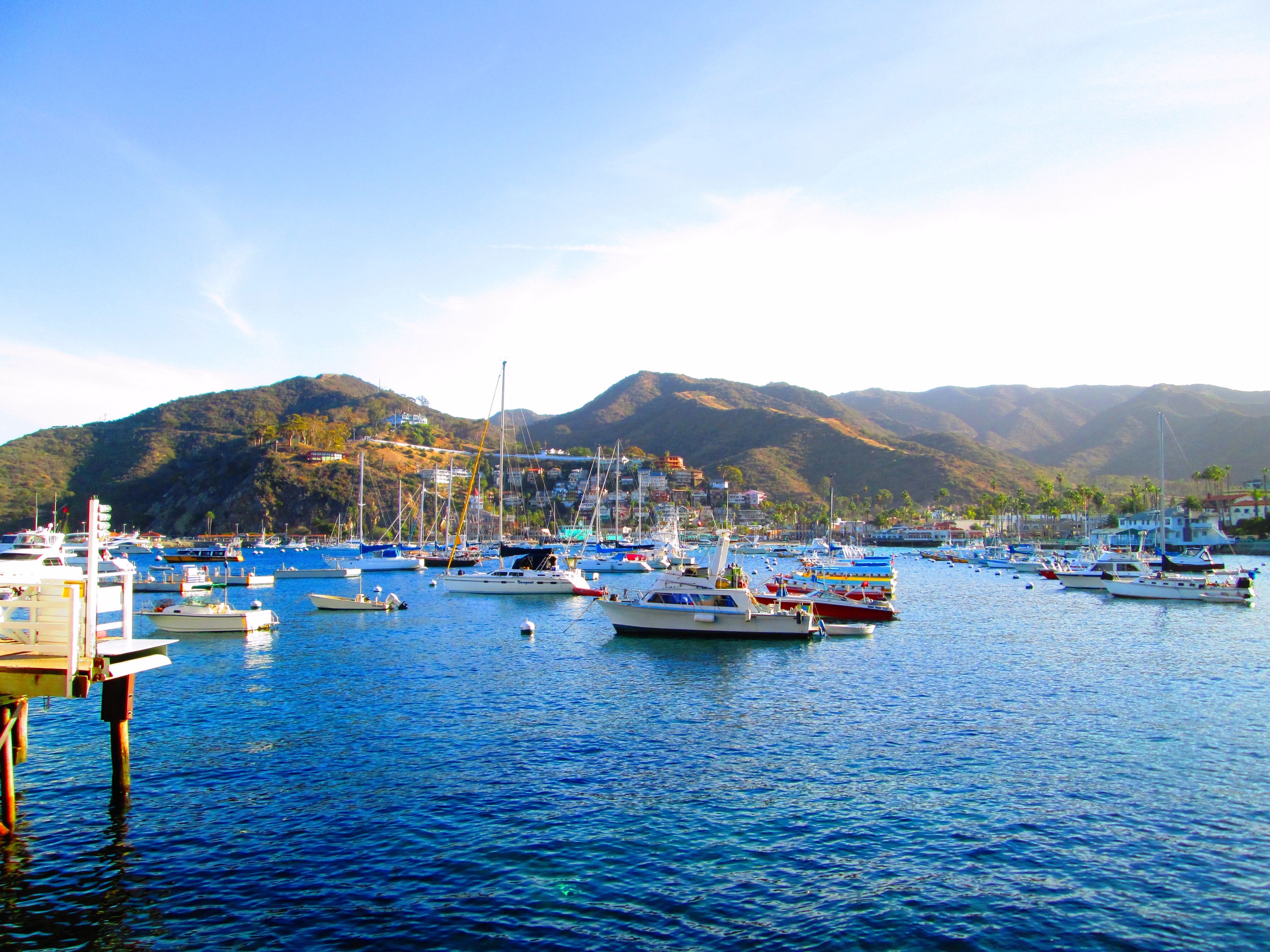 Catalina Avalon Bay ColorChallange.jpeg