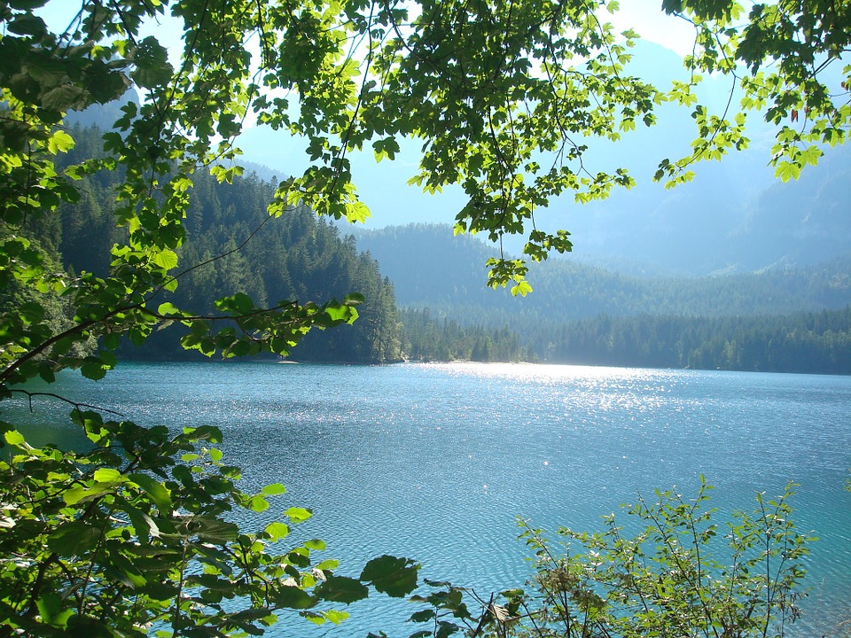 lake-952696_960_720.jpg