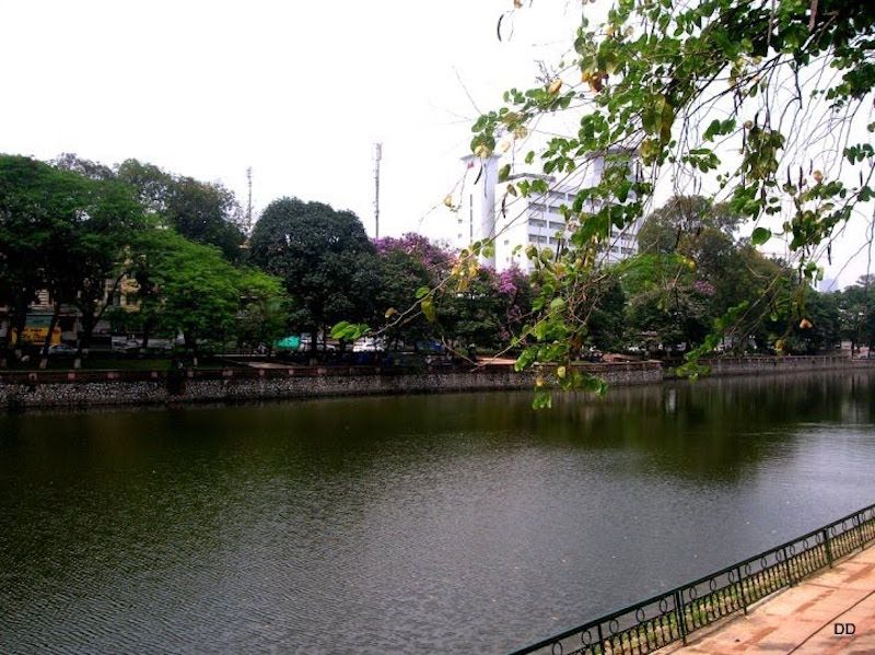 Thu Le Park.jpg