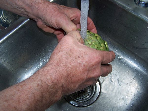 Artichokes - washing crop April 2018.jpg