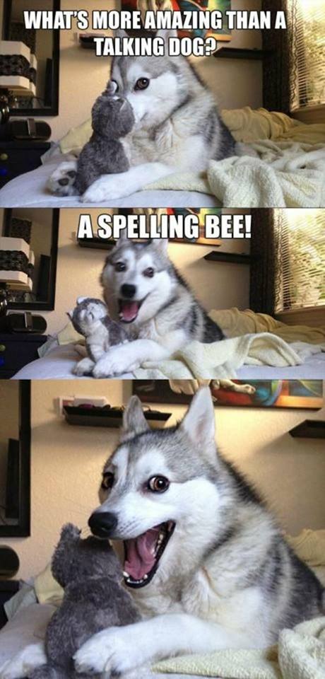 Spelling Bee.jpg