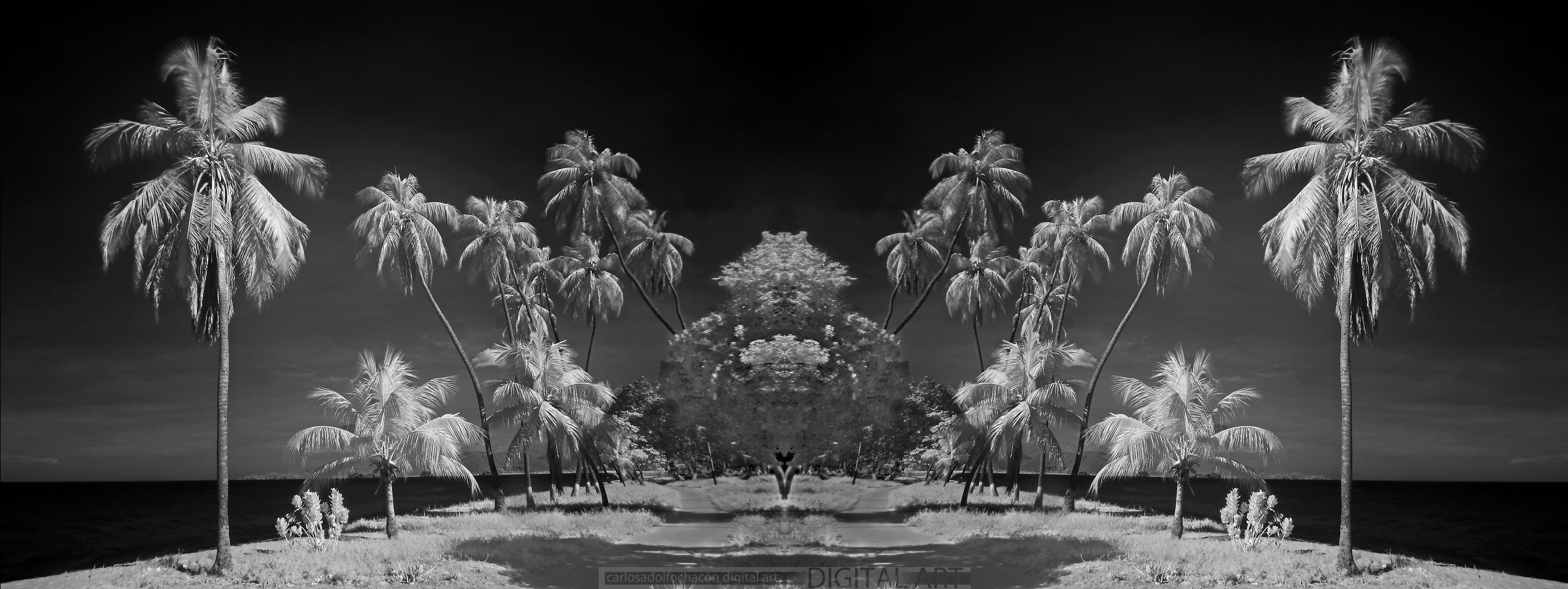 ! !aandera a_tnemaped1AA01.jpg