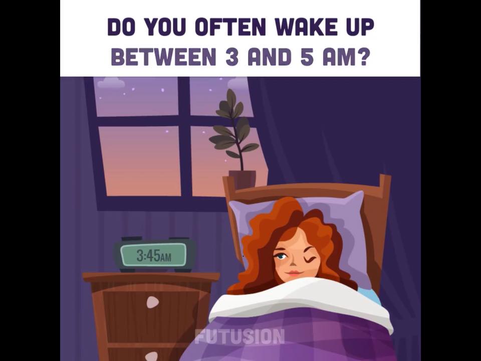 26055922_1785301021504050_1001580394427785479_n (1).jpg